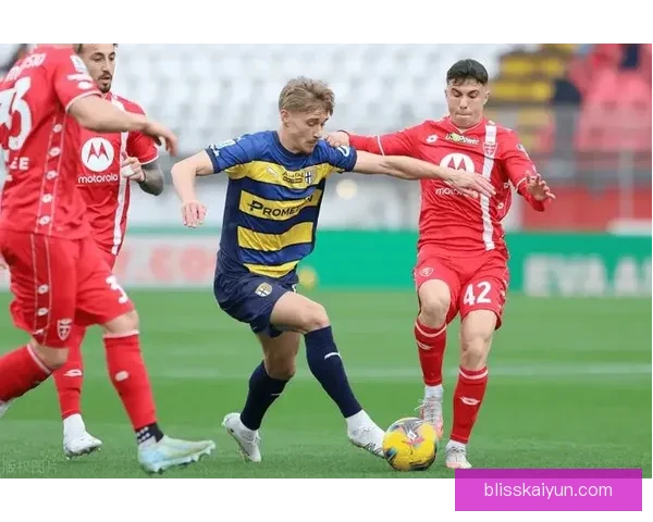 维罗纳逼抢体系逐渐形成，球队整体防守状态值得关注